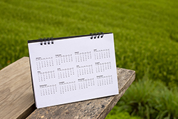 Calendar on picnic table with a grass background.