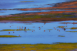 Water inlet with colorful foilage.