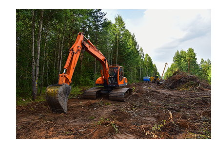 Bulldozer working in the forest.