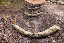 Drainage ditch.