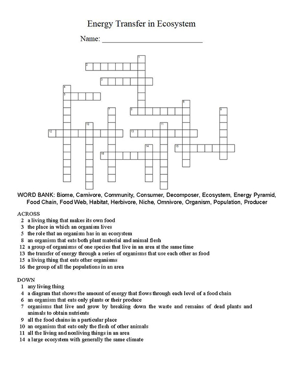 Energy Transfer in Ecosystem crossword puzzle.