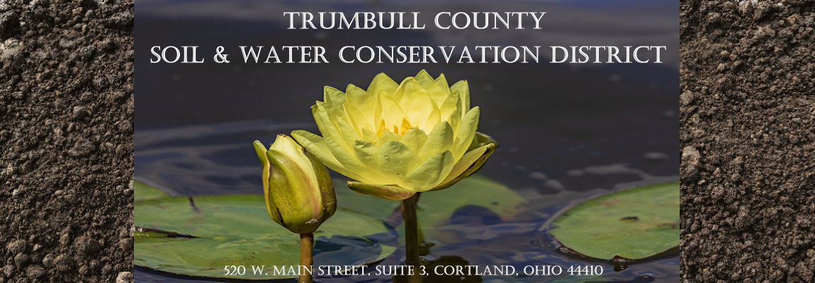 Words Trumbull County Soil & Water Conservation District overlaying lily pads on water with a soil background.