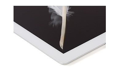 Bottom half of quill pen.