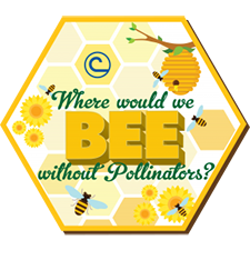 Cartoon where would be without pollinators.