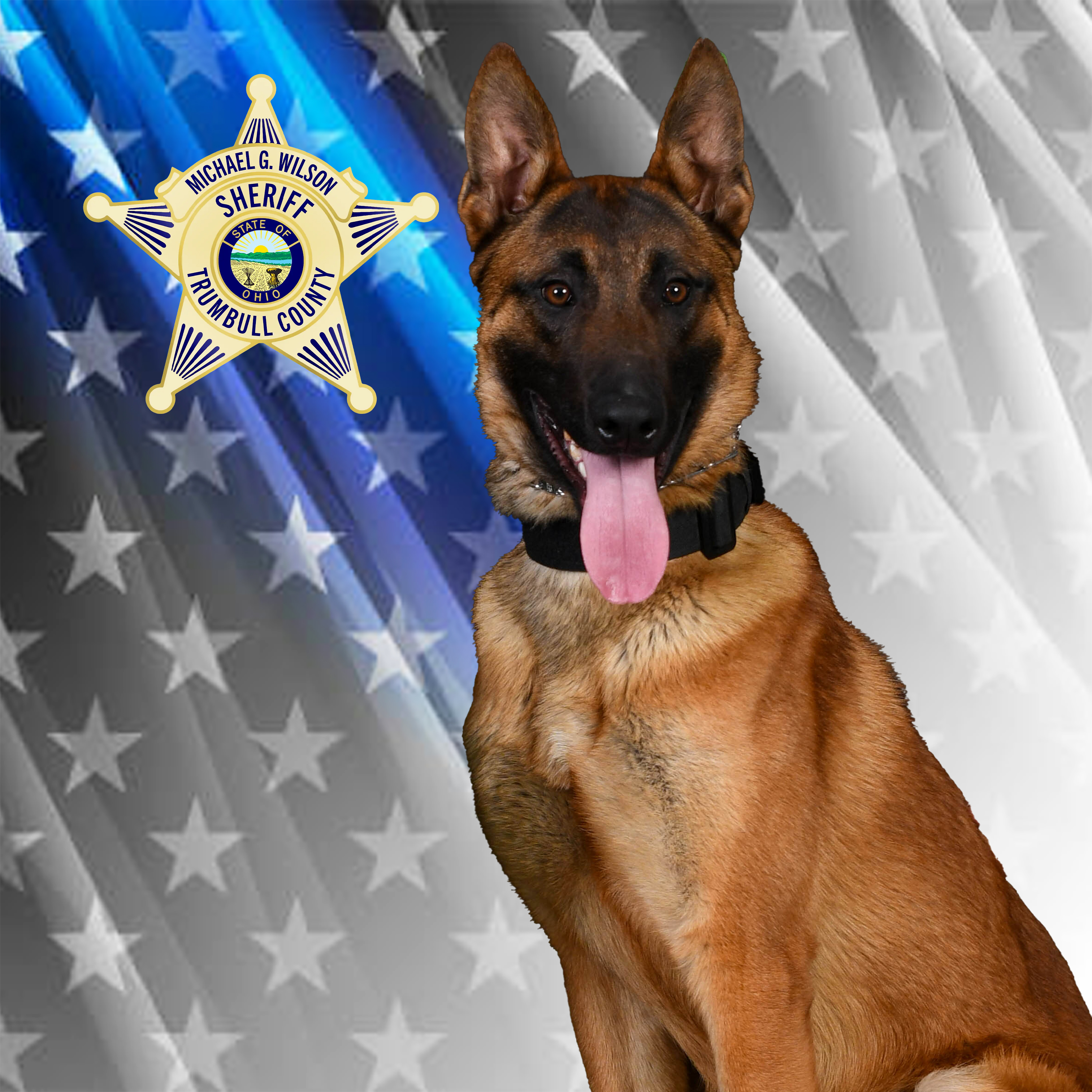 K-9 Deputy Rico sitting with tongue out